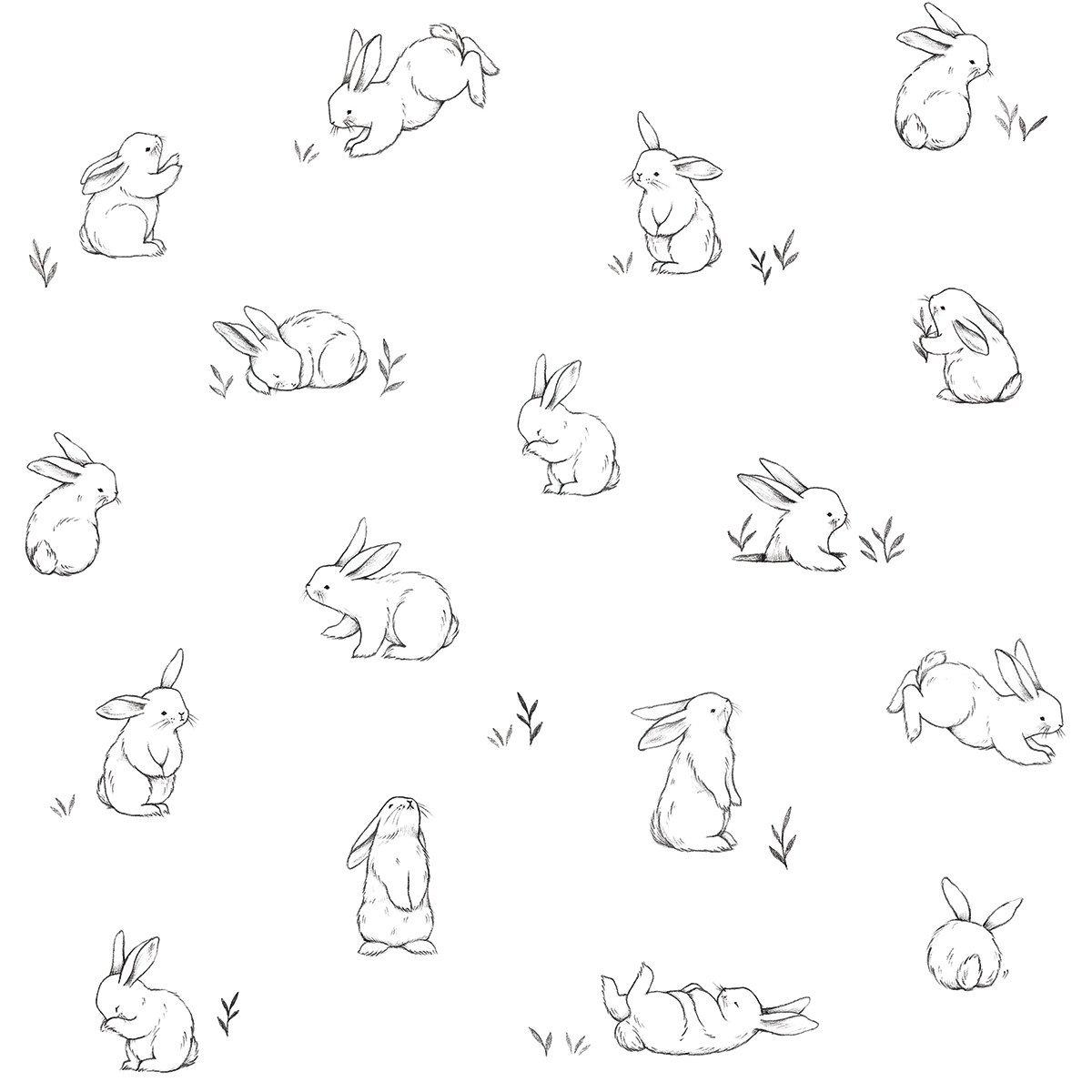 Wallpaper : rabbit, ears, shade, nose, fur 1920x1080 - wallup - 670123 - HD  Wallpapers - WallHere